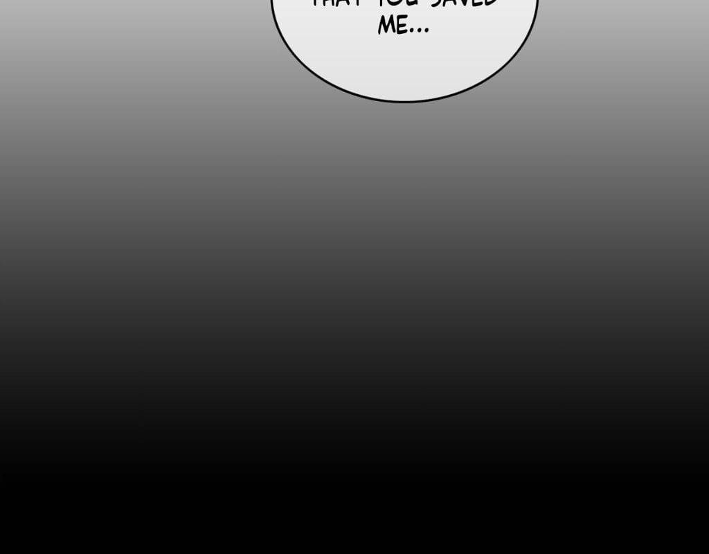 Page 217